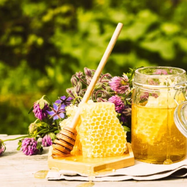 Honig vom Kleefeld