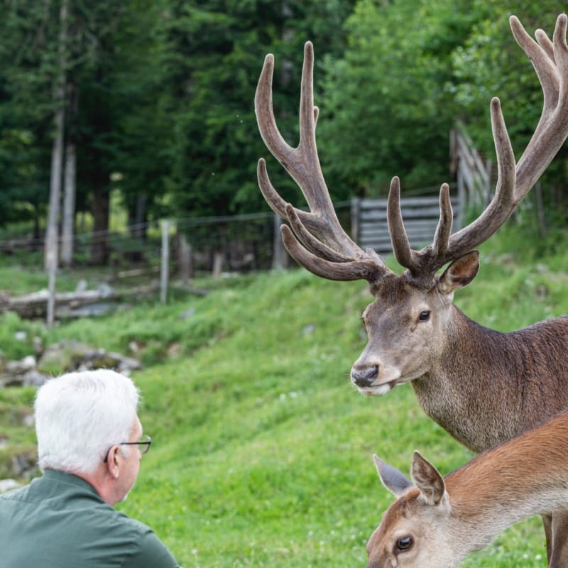 Seniorchef mit den Hirschen aus dem Wildpark Kleefeld