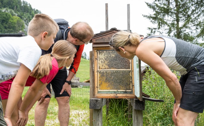 Rätselstation Bienen Erlebnis Rundweg in Strobl am Wolfgangsee
