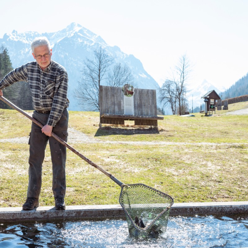 Hauseigene Fischteiche im Hotel Kleefeld