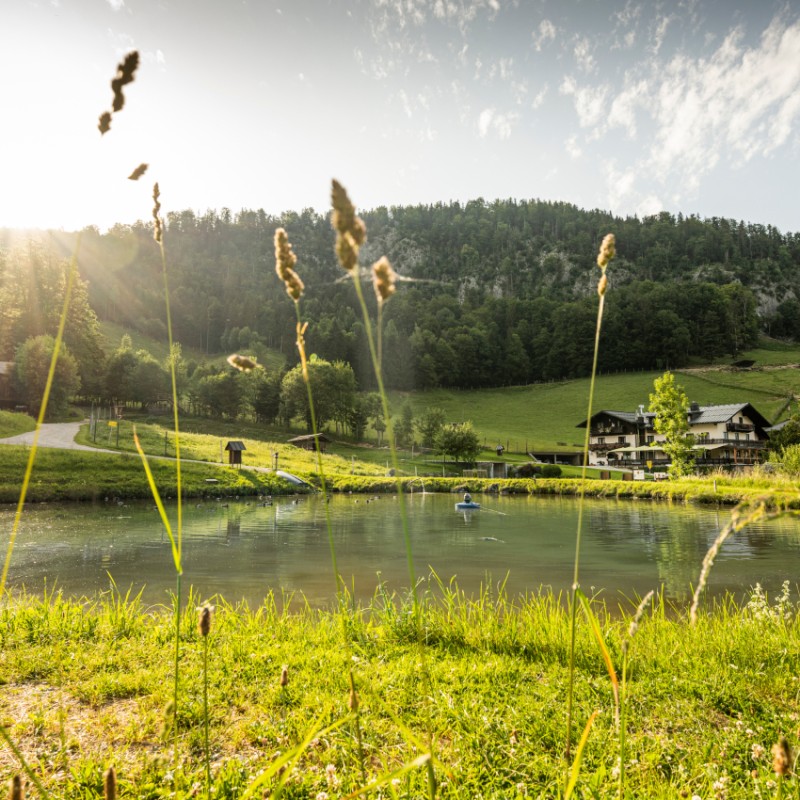 Großer Fischteich direkt neben dem Hotel
