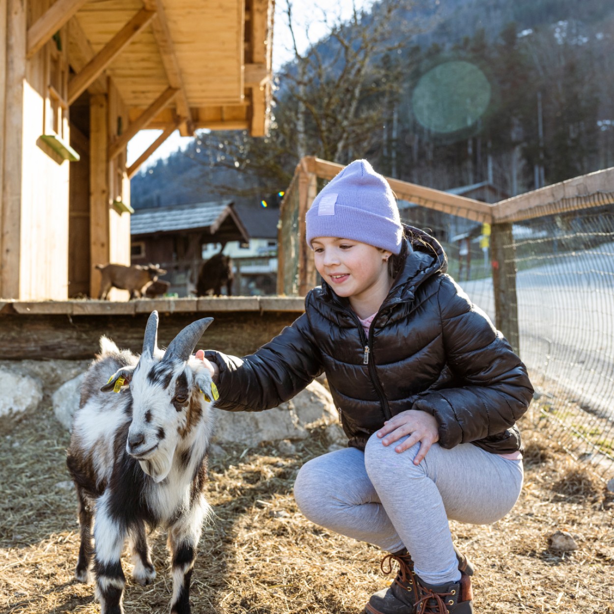 Streichelzoo perfekt für Familienausflüge
