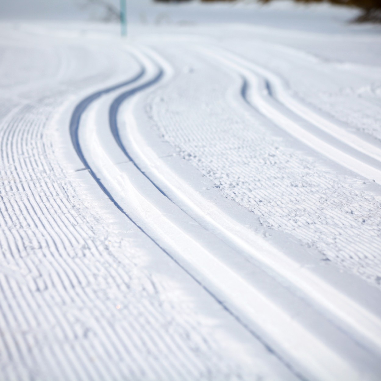 Langlaufloipe mit klassischen Spuren © Shutterstock.com