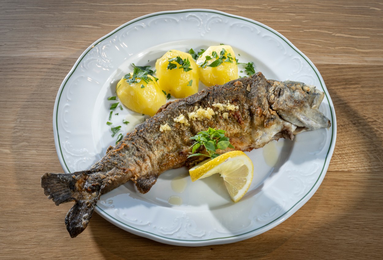 Fischgericht aus eigener Fischzucht in Strobl