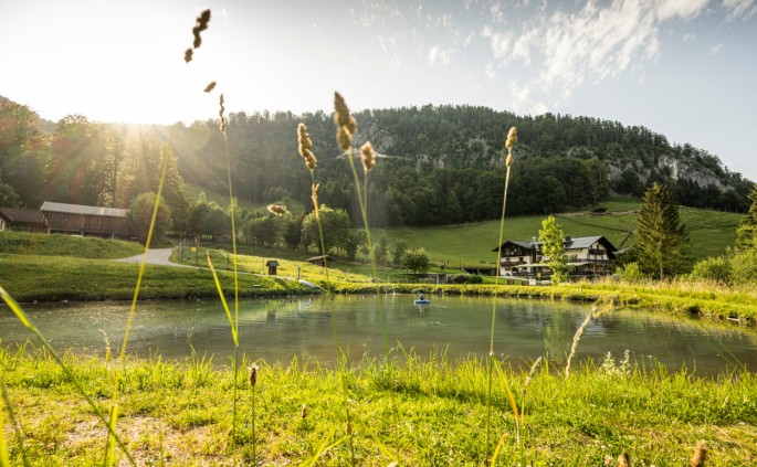 Forellenteich vor dem Hotel