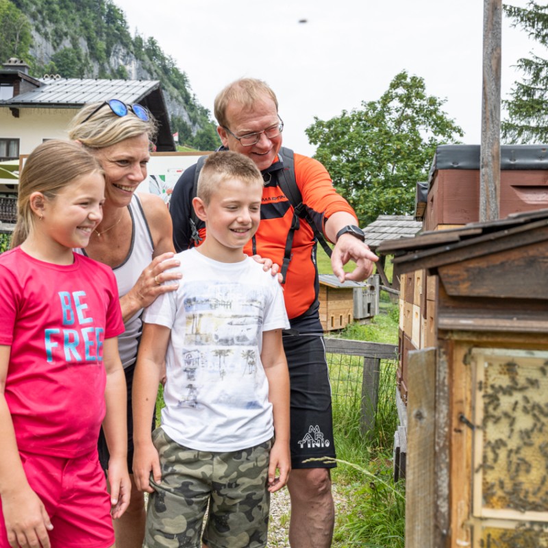 Bienenwanderung für die ganze Familie