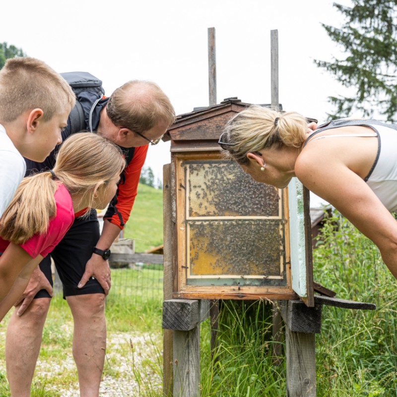 Themenwanderung in Strobl am Wolfgangsee