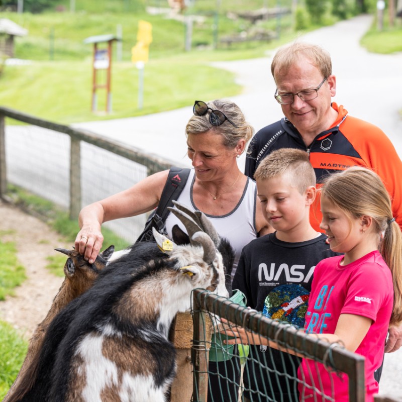 Familientag im Hotel Kleefeld