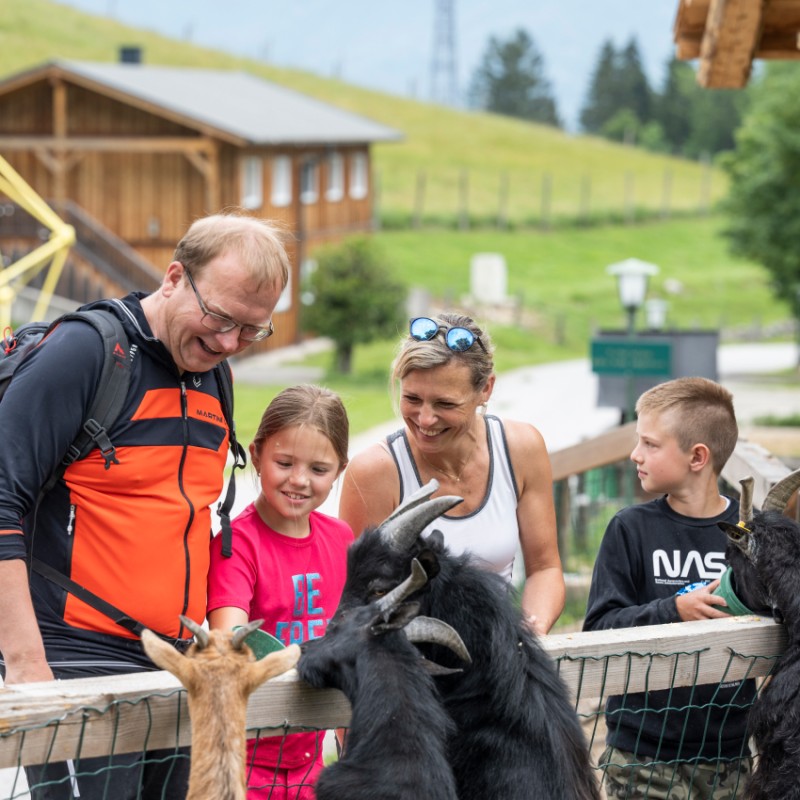 Familienzeit im Hotel Kleefeld