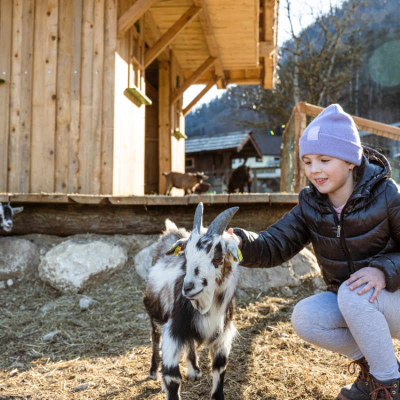 Streichelzoo für Kinder