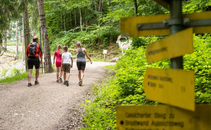 Alpine Wanderung in Oberösterreich