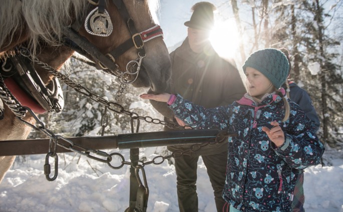 Pferdeschlitten im Winter © Oberösterreich Tourismus GmbH | David Lugmayr