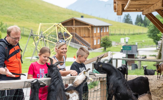 Streichelzoo direkt beim Hotel Kleefeld
