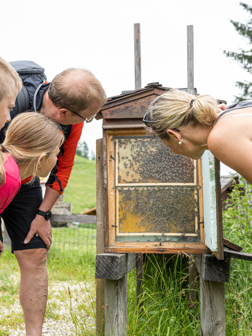 Bienen-Erlebnis-Rundweg in Strobl