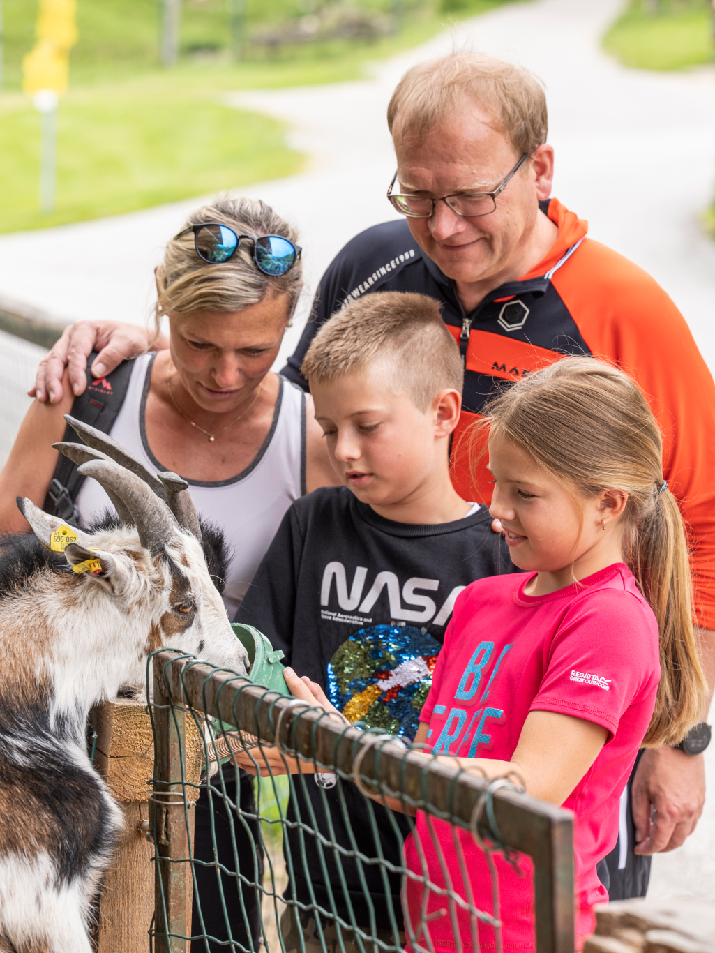 Hoteleigener Streichelzoo