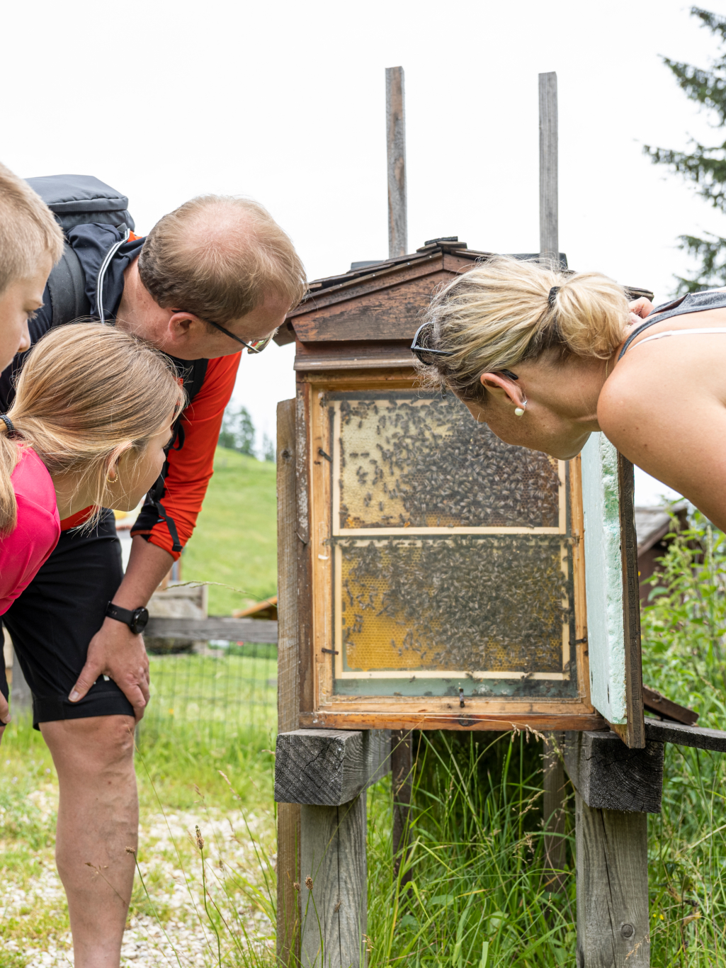 Bienen-Erlebnis-Rundweg in Strobl © Lorenz Masser Fotografie