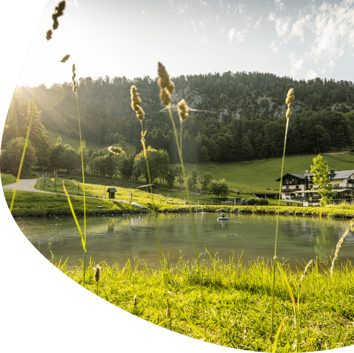 Hoteleigene Fischzucht in Strobl am Wolfgangsee