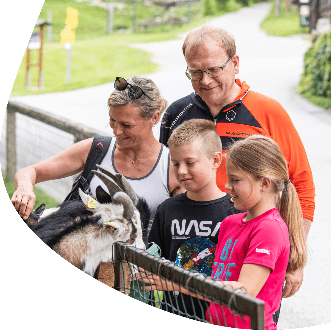 Streichelzoo direkt am Hotelareal