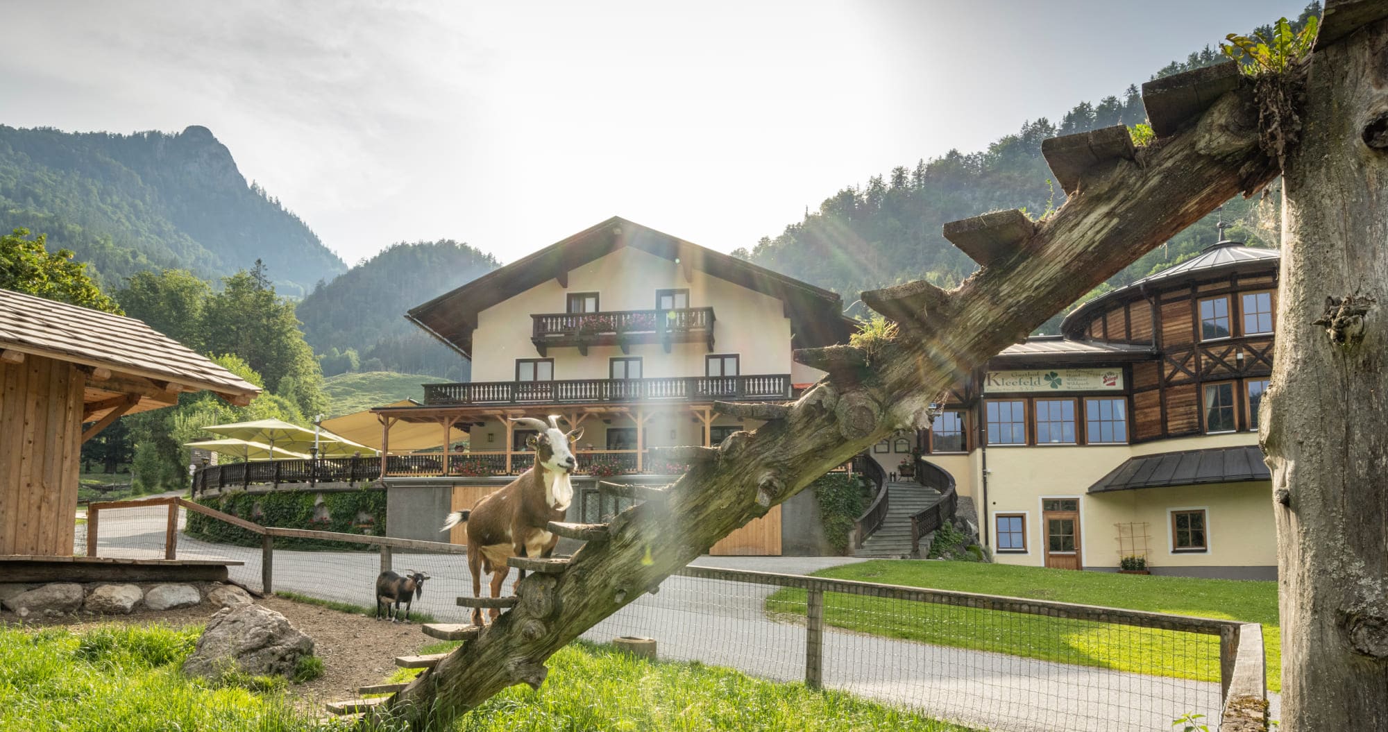 Kleefeld Streichelzoo am Wolfgangsee, Österreich