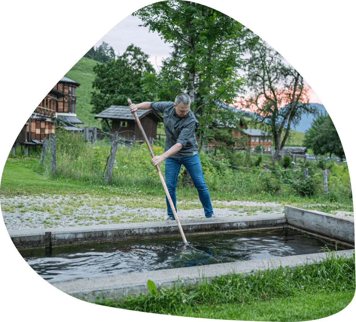 Hoteleigene Fischzucht in Strobl