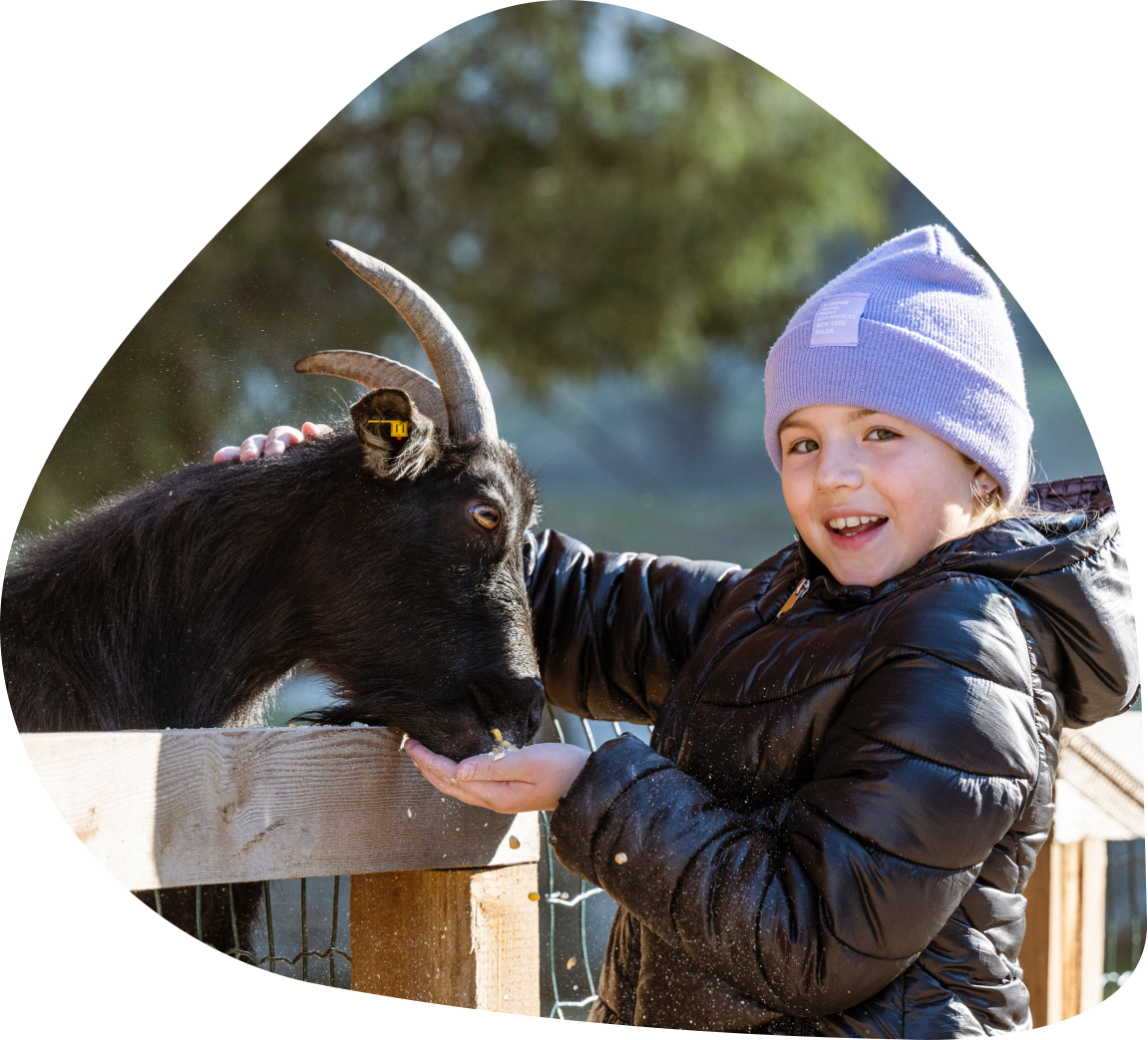 Hoteleigener Streichelzoo in Strobl am Wolfgangsee