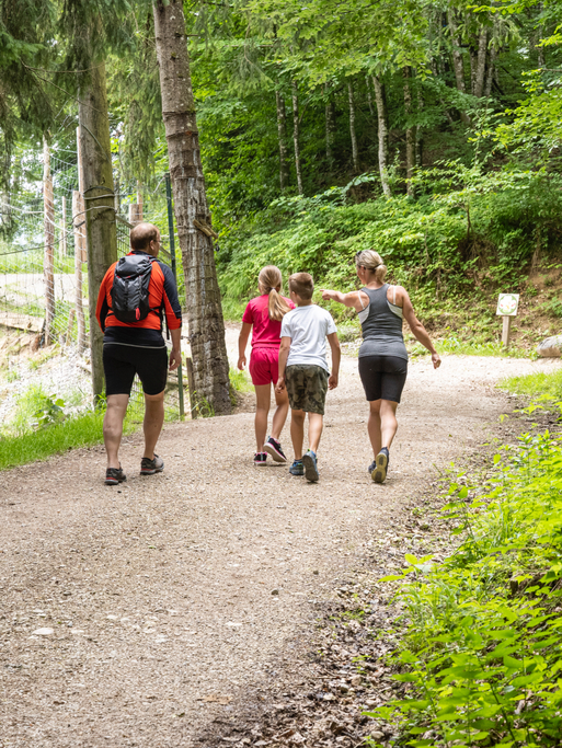 Familienfreundliche Wanderwege am dem Hotel